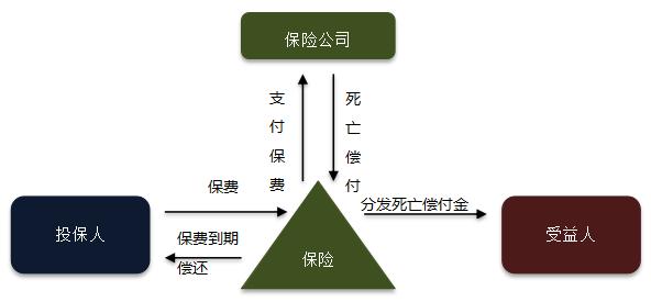 如何選擇人壽保險(xiǎn)政策以滿足您的需求