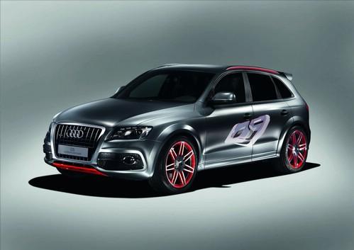 奧迪RS Q5高性能SUV輸出功率331kW 2.9TT 