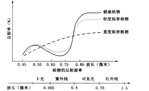 最新的攻擊利用了一種稱為網(wǎng)絡(luò)時(shí)間協(xié)議反射的技術(shù)