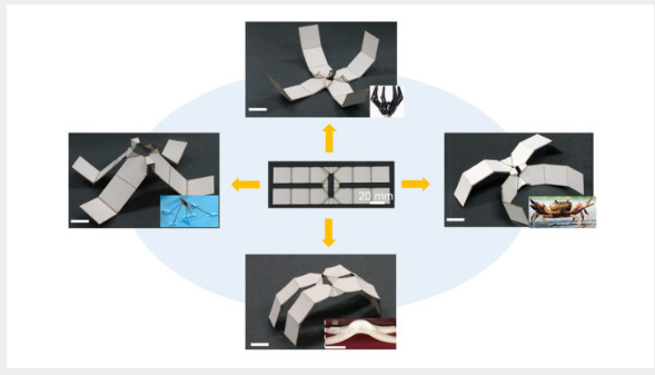 研究人員使用自折疊式折紙超材料制造可重構(gòu)機器人