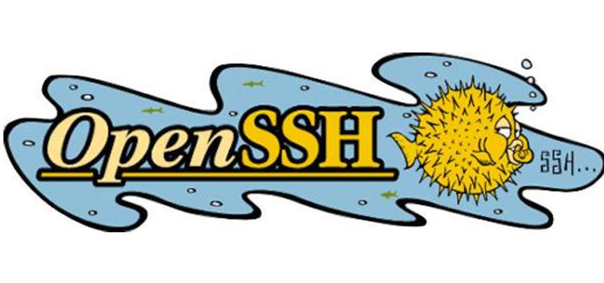 OpenSSH 8.2發(fā)布 具有兩方面身份驗證硬件支持