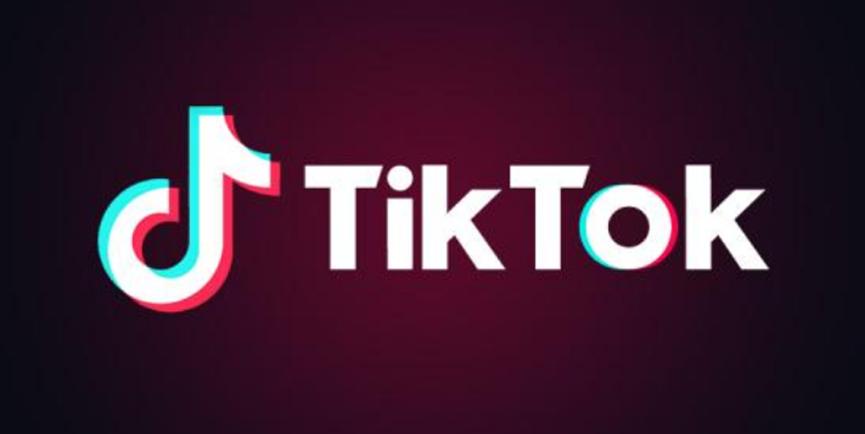 TikTok現(xiàn)在以新的家庭配對品牌正式走向全球