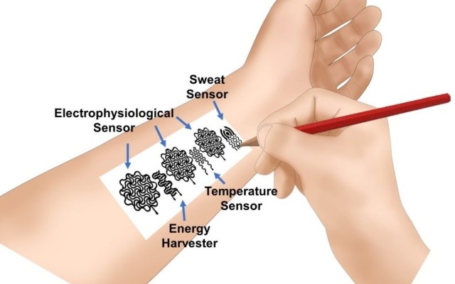 研究人員構(gòu)建了一種基于鉛筆紙的生物特征可穿戴設(shè)備，該設(shè)備可以監(jiān)控人體信號(hào)