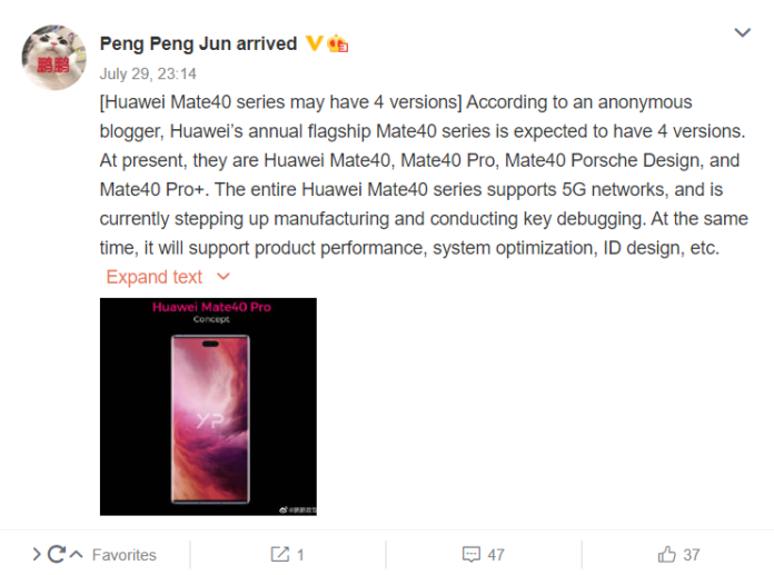 華為傳聞將推出新的Mate 40 Pro Plus型號