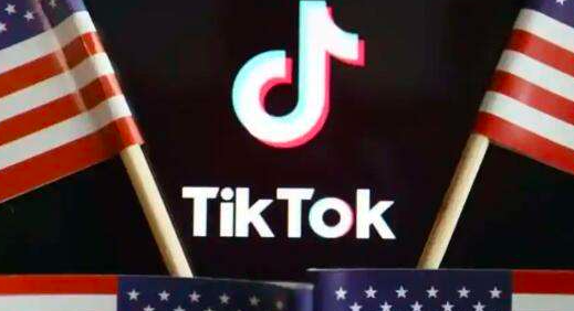 巴基斯坦禁止訪問(wèn)TikTok