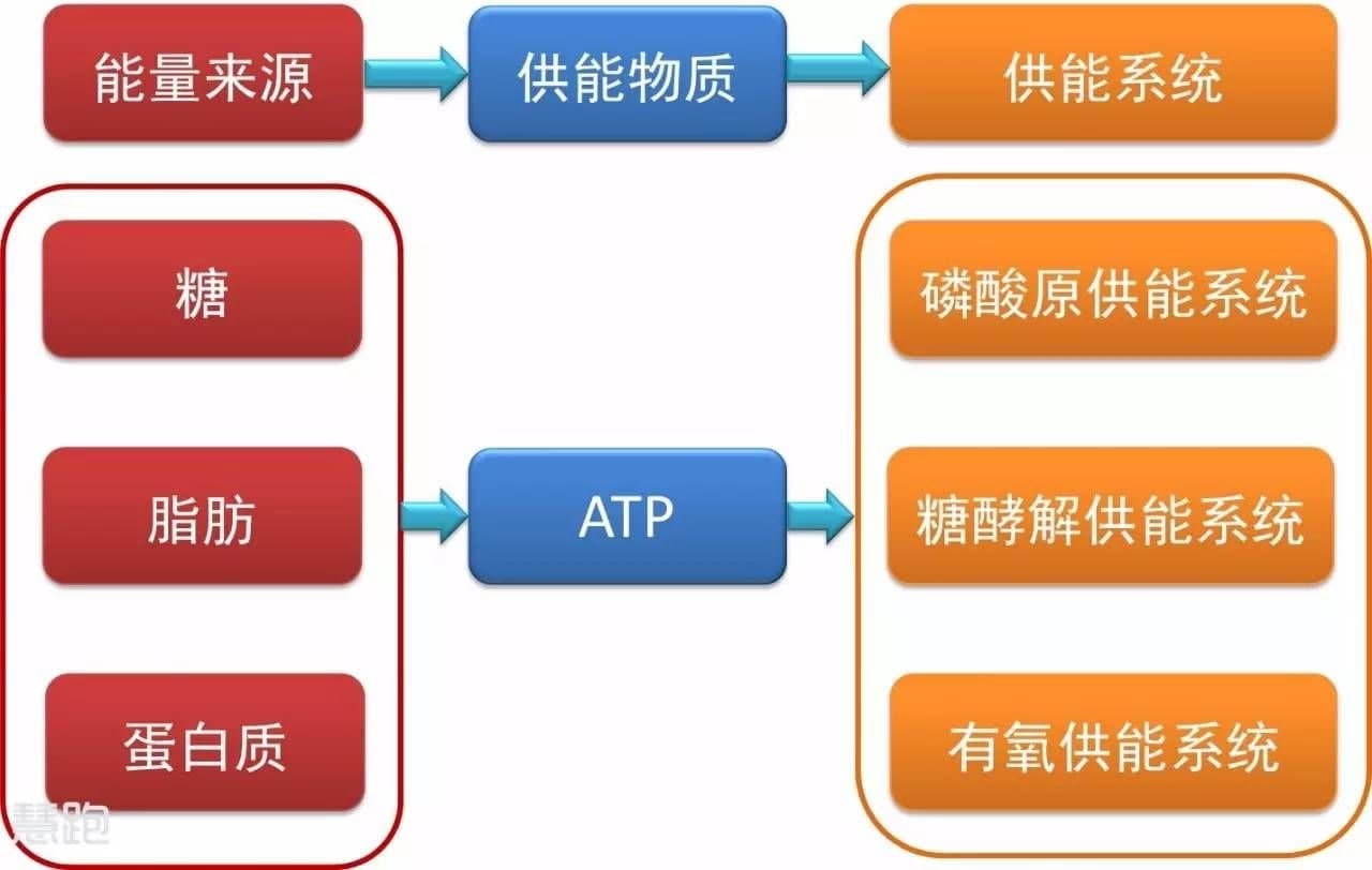 無氧運(yùn)動(dòng)和有氧運(yùn)動(dòng)有何區(qū)別?選擇哪個(gè)更好?專家終于講出實(shí)話!